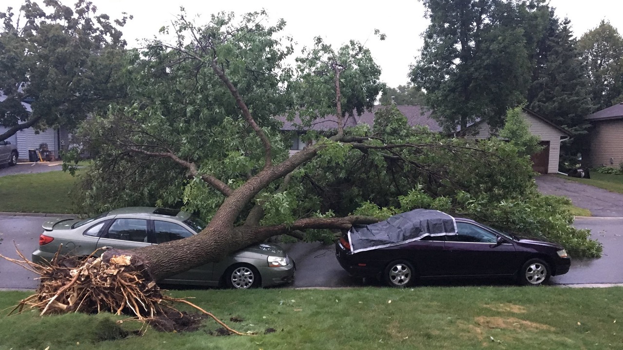 Cottage Grove storms result in state of emergency